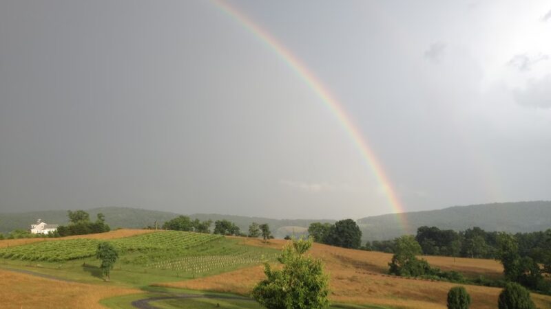 Lexington Valley Vineyard - Rockbridge Baths, VA
