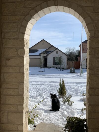 Rockdale Dog Shelter and Dog Park - Rockdale, TX