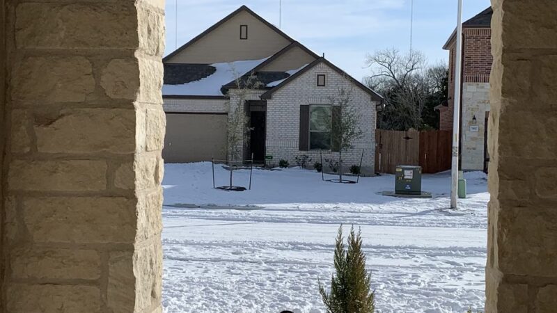 Rockdale Dog Shelter and Dog Park - Rockdale, TX