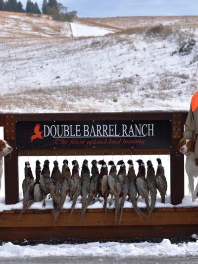 Double Barrel Ranch - Rockford, WA