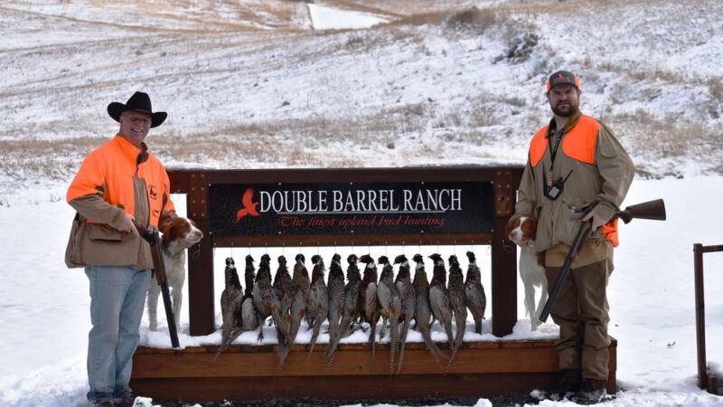 Double Barrel Ranch - Rockford, WA