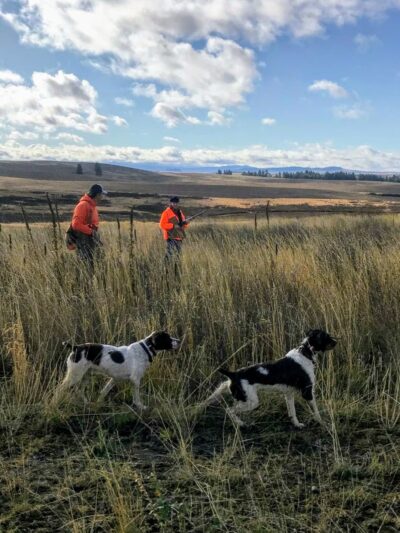 Double Barrel Ranch - Rockford, WA