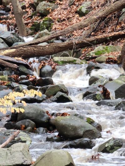 Trailhead for the Rockleigh Woods/Lamont Reserve trails - Rockleigh, NJ