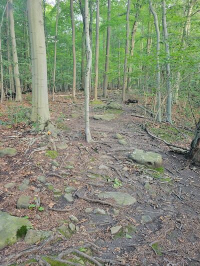 Trailhead for the Rockleigh Woods/Lamont Reserve trails - Rockleigh, NJ