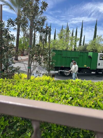 Clark Dominguez Trail - Rocklin, CA