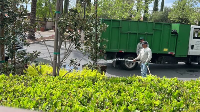 Clark Dominguez Trail - Rocklin, CA