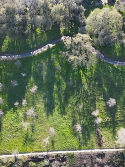 Clark Dominguez Trail - Rocklin, CA