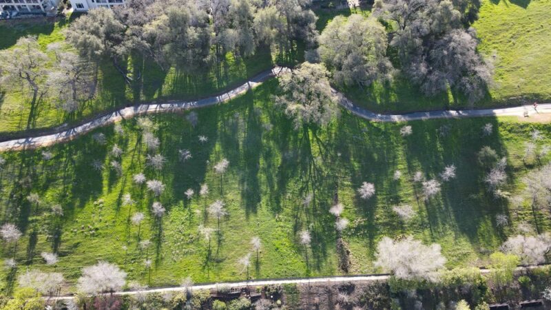 Clark Dominguez Trail - Rocklin, CA
