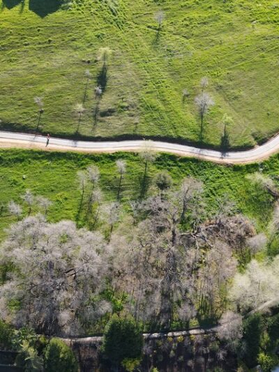 Clark Dominguez Trail - Rocklin, CA
