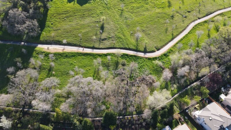 Clark Dominguez Trail - Rocklin, CA