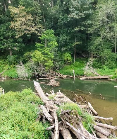 Friends Park - Rockville, MD