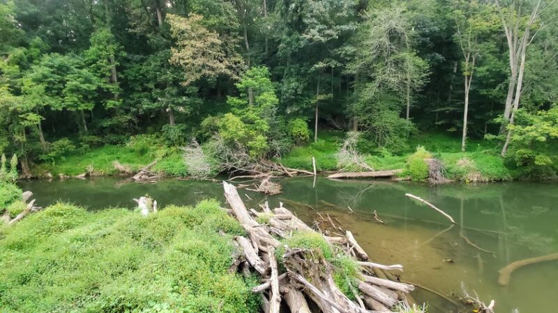 Friends Park - Rockville, MD