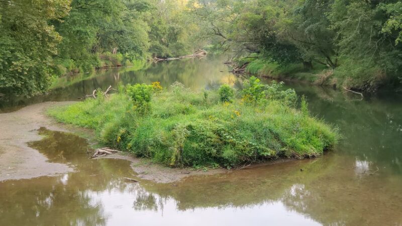 Friends Park - Rockville, MD