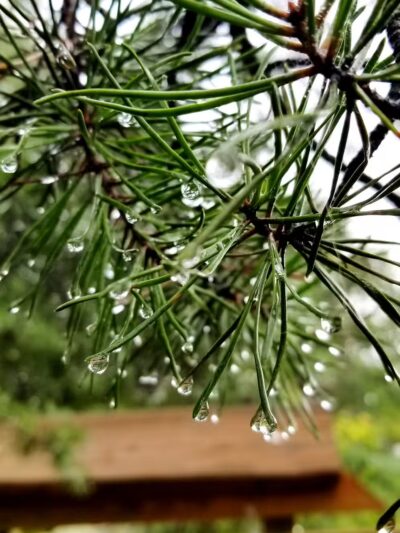 Great Falls Hiking - Rockville, MD