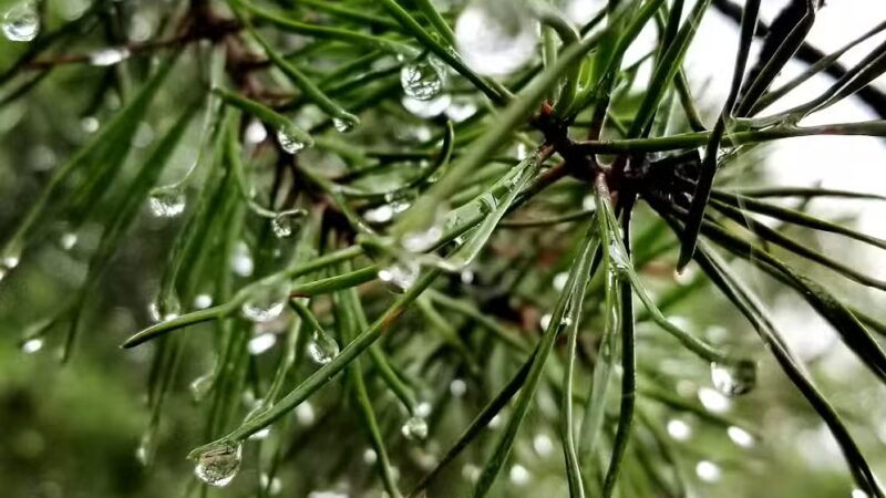 Great Falls Hiking - Rockville, MD