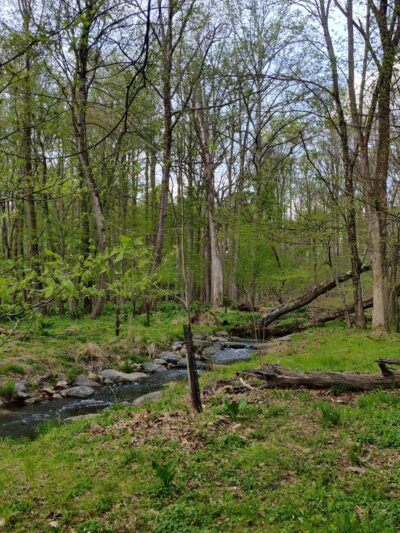 Kengla Trail Parking - Rockville, MD