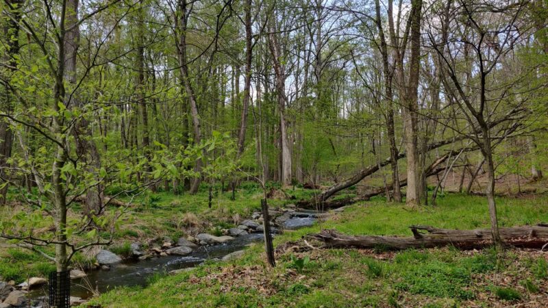 Kengla Trail Parking - Rockville, MD