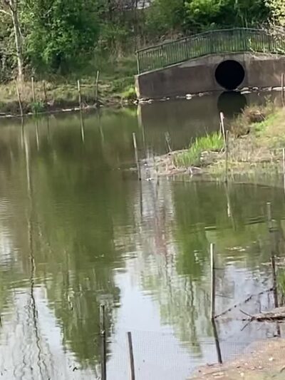 King Farm Park - Rockville, MD