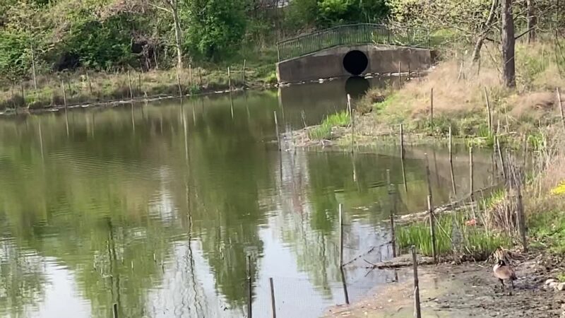 King Farm Park - Rockville, MD