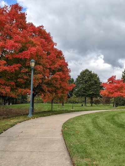 King Farm Park - Rockville, MD