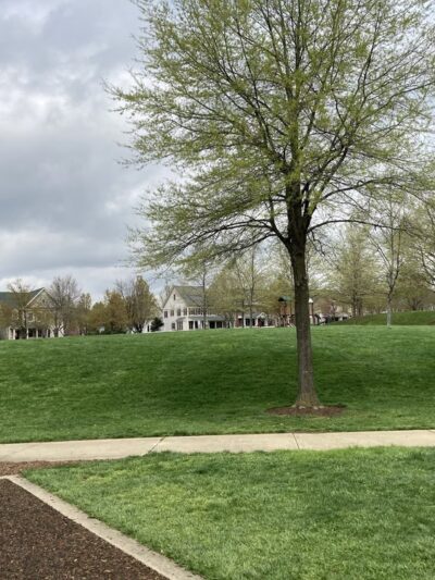 King Farm Park - Rockville, MD