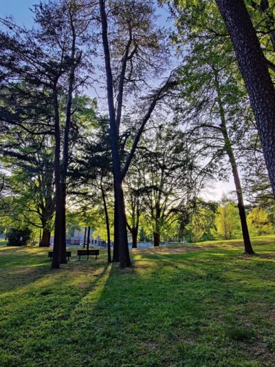 Montrose Park - Rockville, MD