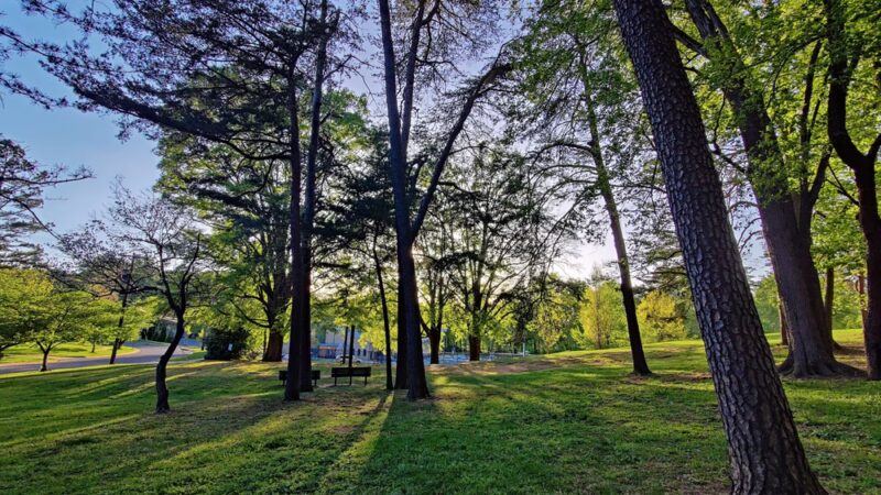 Montrose Park - Rockville, MD