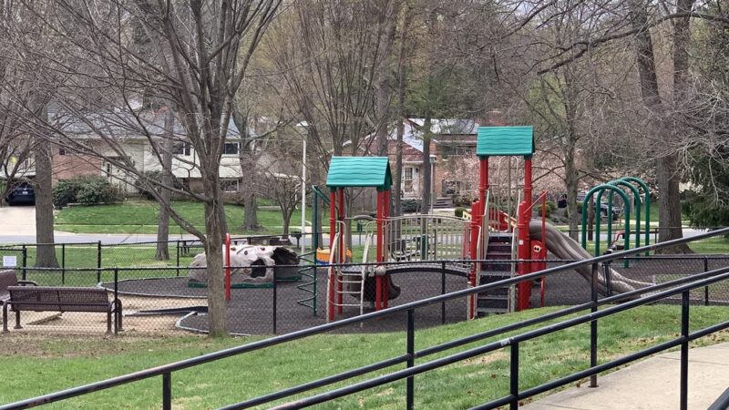 Montrose Park - Rockville, MD