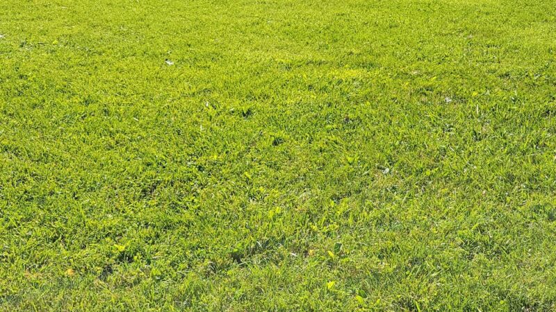 North Farm Neighborhood Park - Rockville, MD