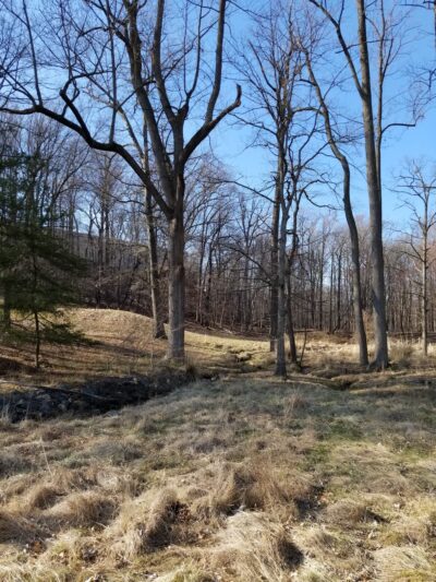 Red Gate Park - Rockville, MD