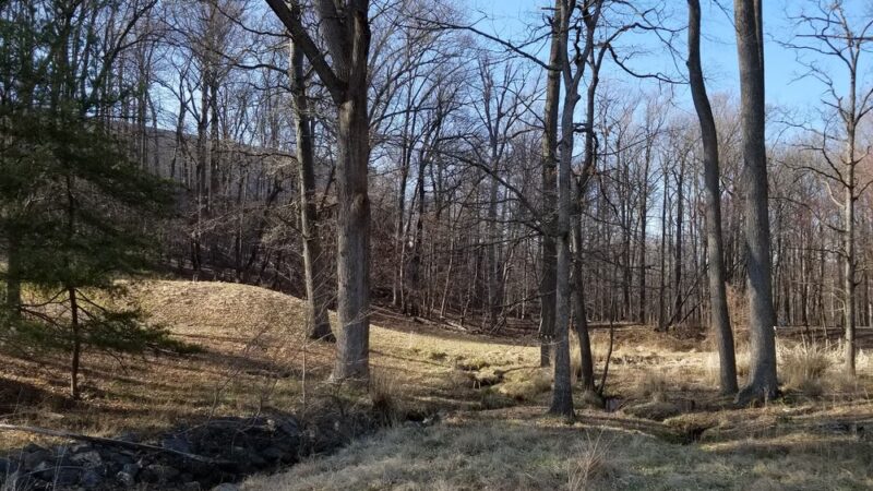 Red Gate Park - Rockville, MD