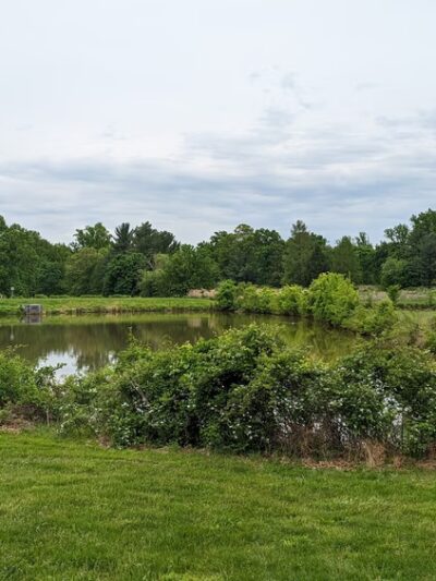 Red Gate Park - Rockville, MD