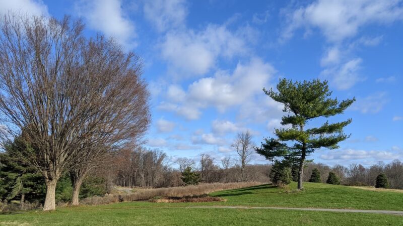 Red Gate Park - Rockville, MD