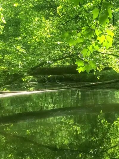 Tom Fuller Memorial Park - Rockwood, TN