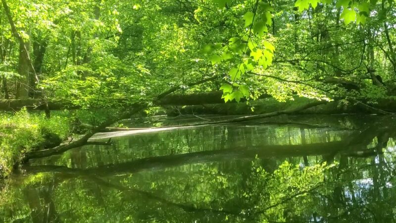 Tom Fuller Memorial Park - Rockwood, TN