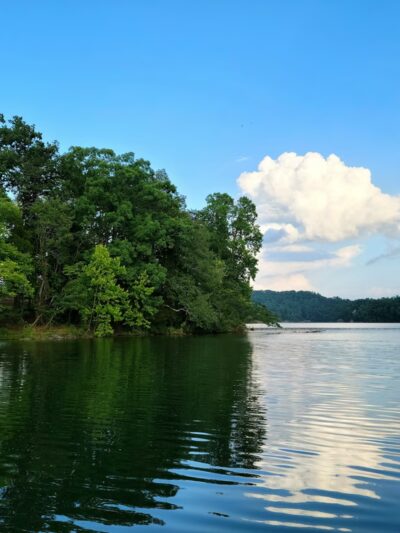 Tom Fuller Memorial Park - Rockwood, TN