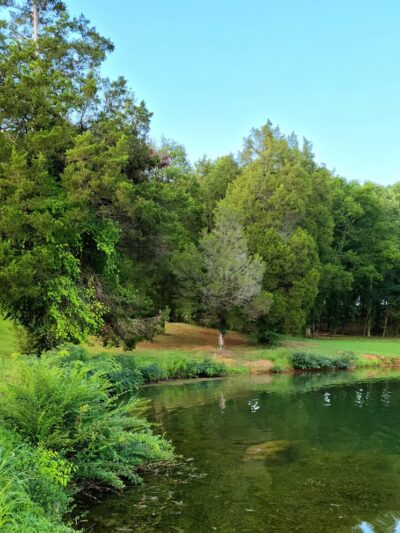 Tom Fuller Memorial Park - Rockwood, TN