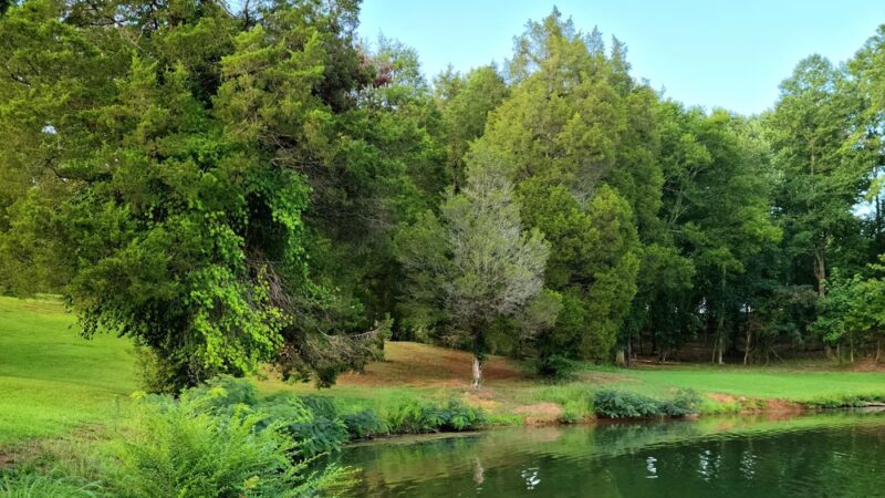 Tom Fuller Memorial Park - Rockwood, TN