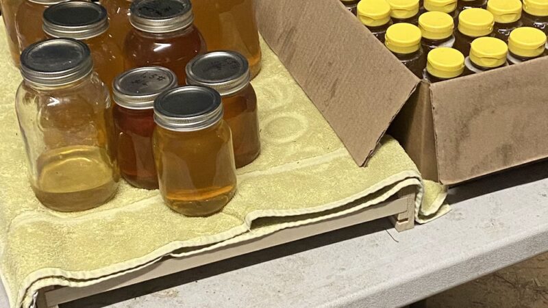 Ponderosa RV Park Inc. - Rocky Ford, GA