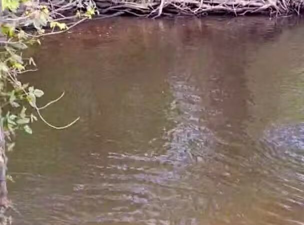 Surwilo Park - Rocky Hill, CT