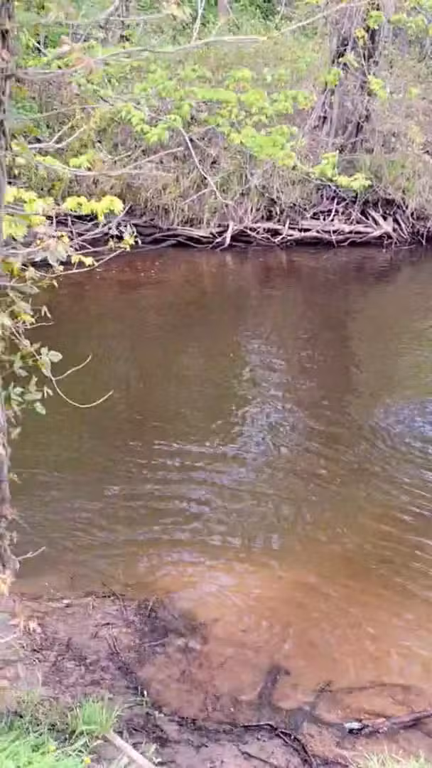 Surwilo Park - Rocky Hill, CT