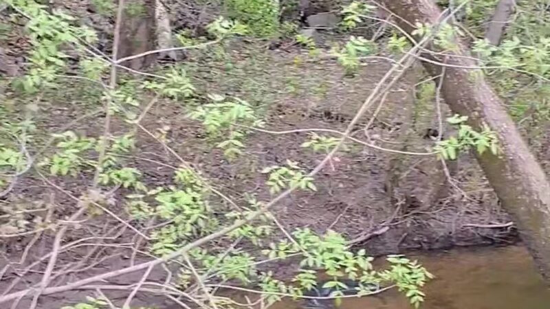 Surwilo Park - Rocky Hill, CT