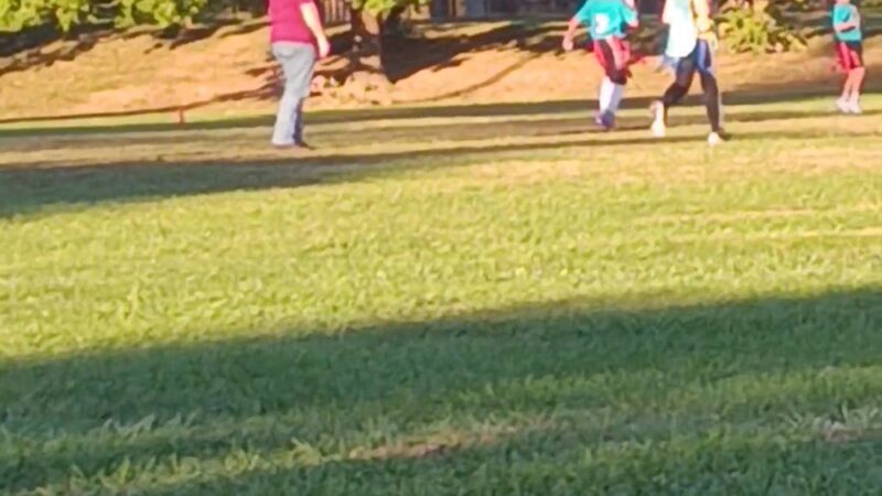 Rogersville Municipal Park - Rogersville, TN