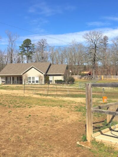 Canine Country Club of Arkansas - Roland, AR