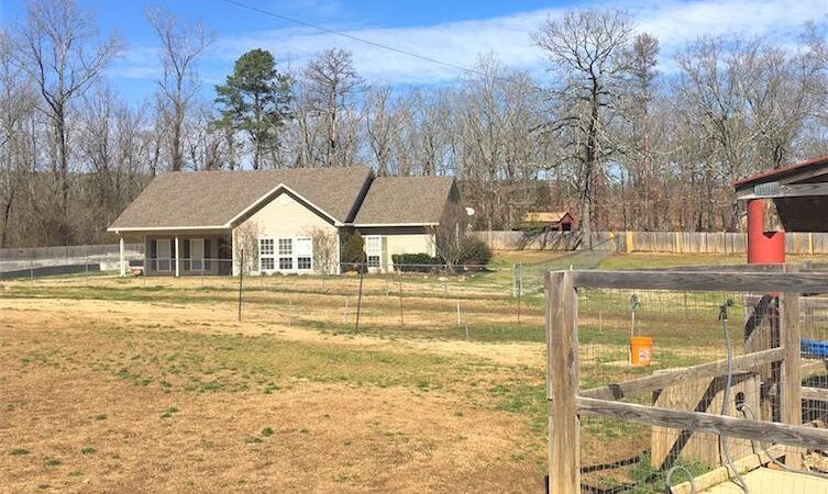 Canine Country Club of Arkansas - Roland, AR