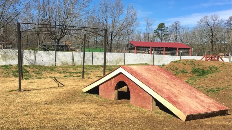 Canine Country Club of Arkansas - Roland, AR