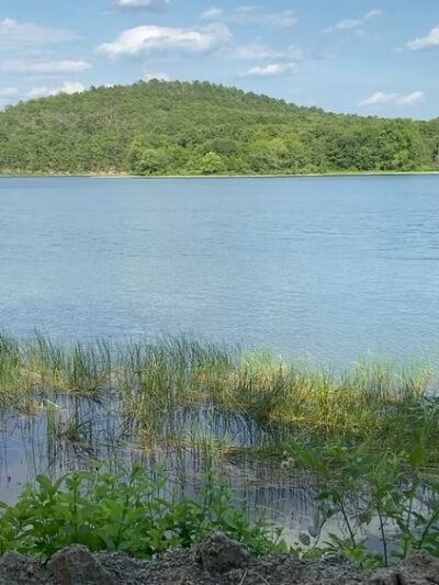 Loon Point Park and Farkleberry Trail - Roland, AR