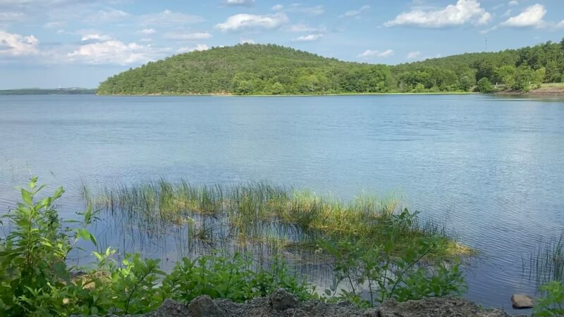 Loon Point Park and Farkleberry Trail - Roland, AR