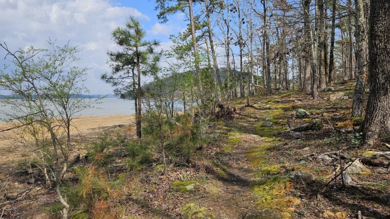 Loon Point Park and Farkleberry Trail - Roland, AR