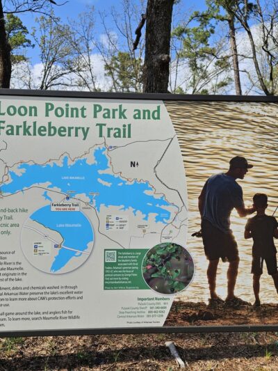 Loon Point Park and Farkleberry Trail - Roland, AR